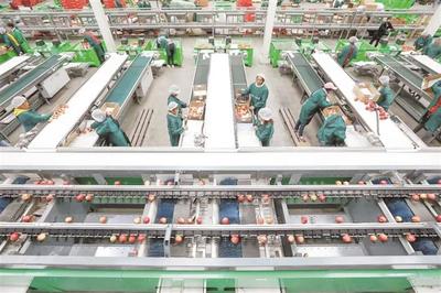 威宁 做强工业支撑 激活发展引擎——农产品的生产转型之路