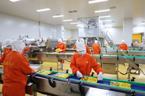 衡水农产品生产 从传统耕作到现代化农业的转型升级