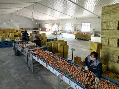 甘味农产品企业商标品牌与农产品生产的协同发展