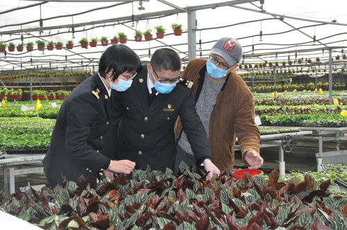 广州农产品原材料进出口双顺畅，为农业生产注入新活力