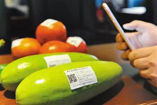 我市积极推进农产品质量安全追溯建设，二维码扫出347家企业农产品前世今生