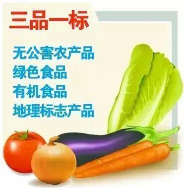 品质升维 从“三品一标”到价值标杆的农业新征程